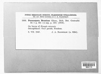 Image Associated With the Occurence